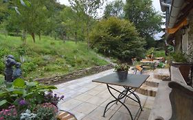 Cozy Apartment In Immerath With Fishing Near